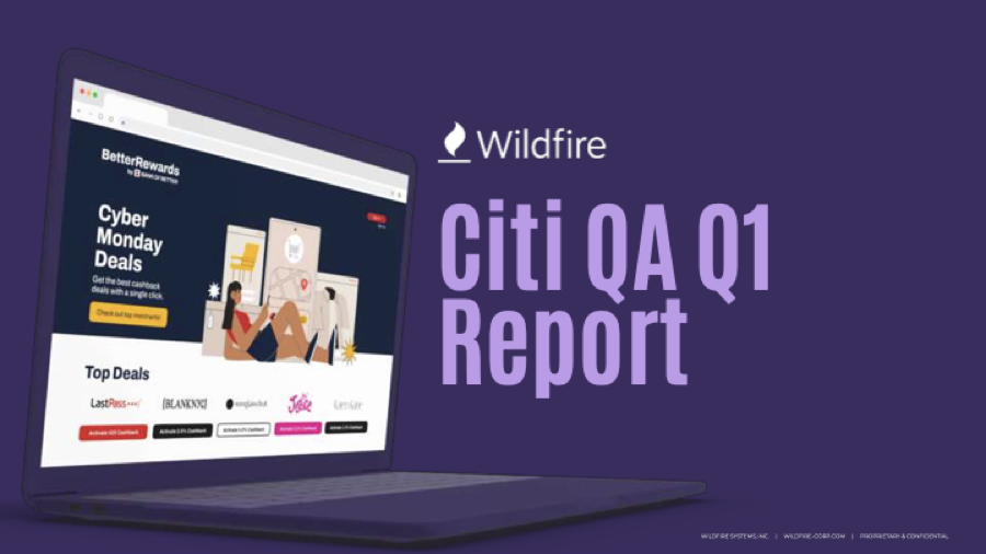Preview: first page of the Citi Q1 2025 QA quarterly report